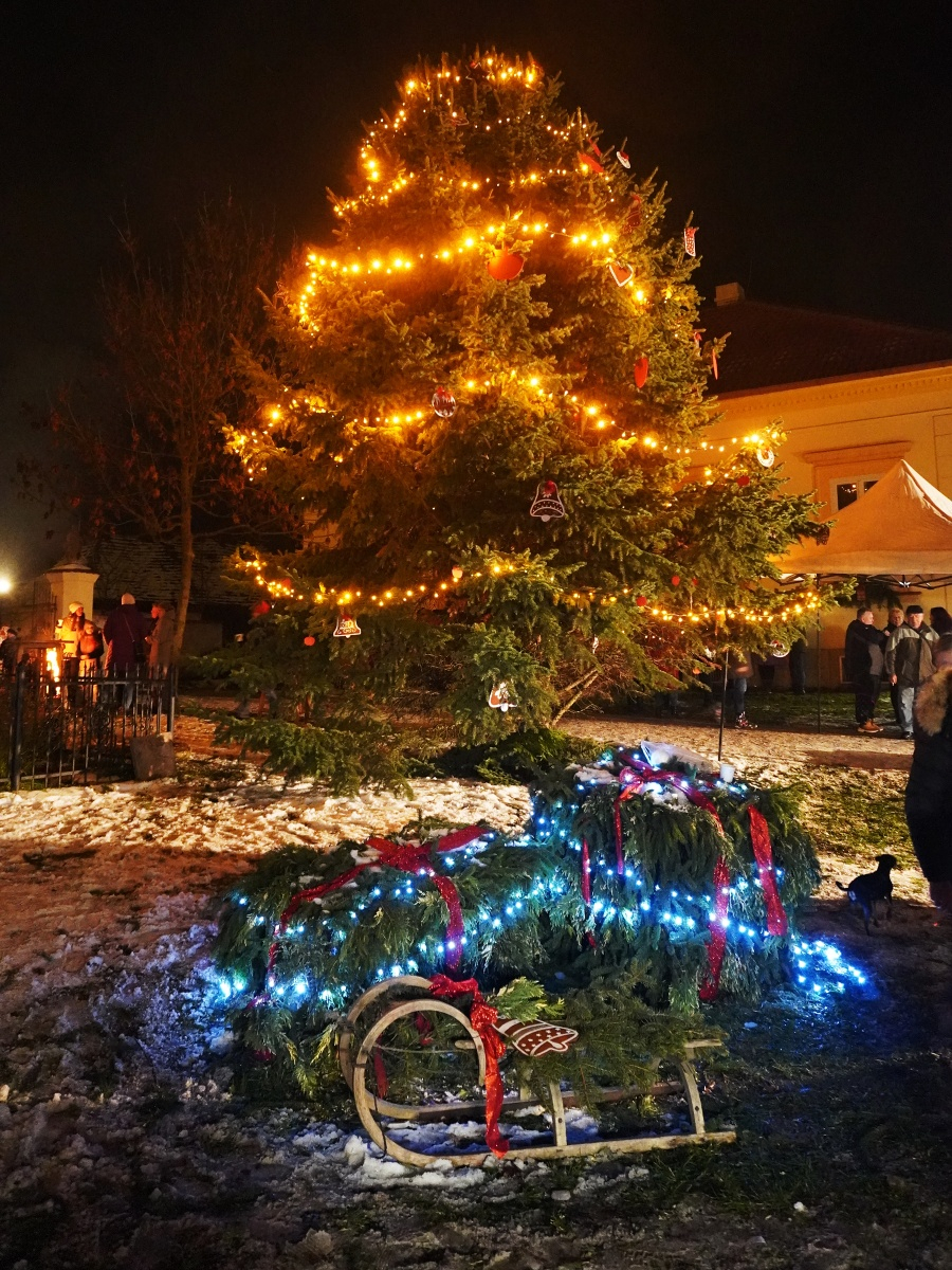 Vánoční stromek obce rozsvícen