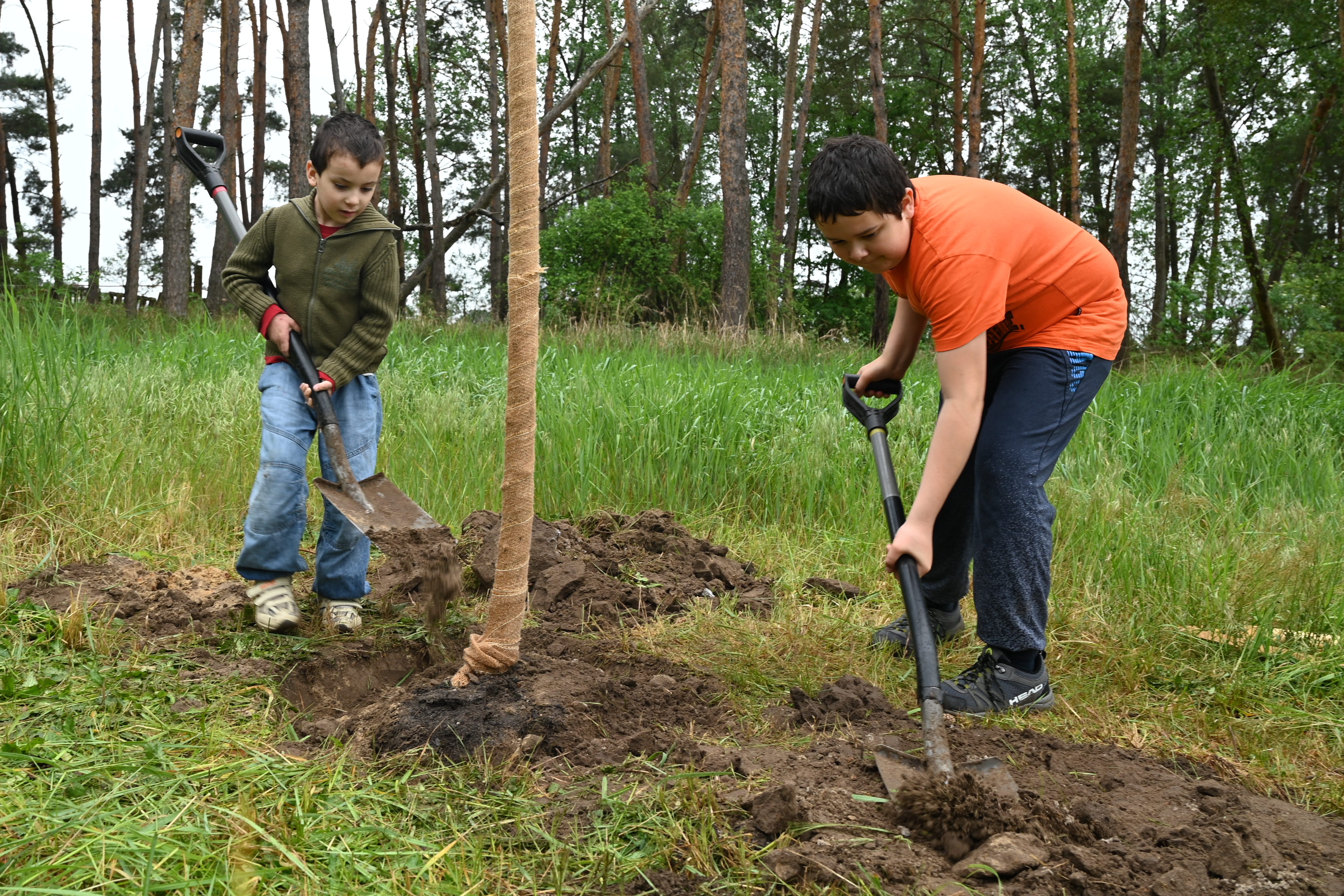 Naši školáci opět přispěli pěti stromy do svého lesoparku