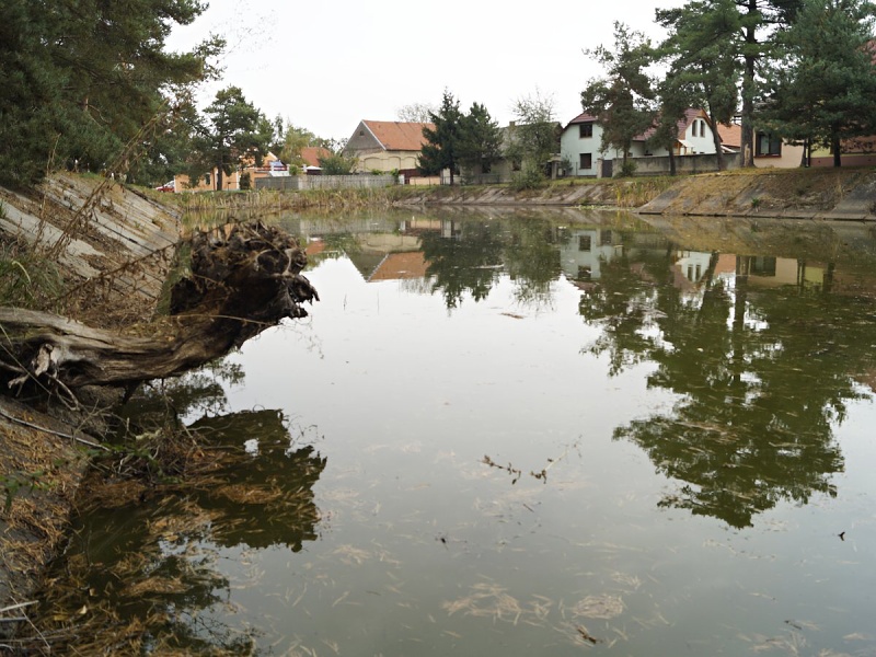 Výlov rybníku Průhon
