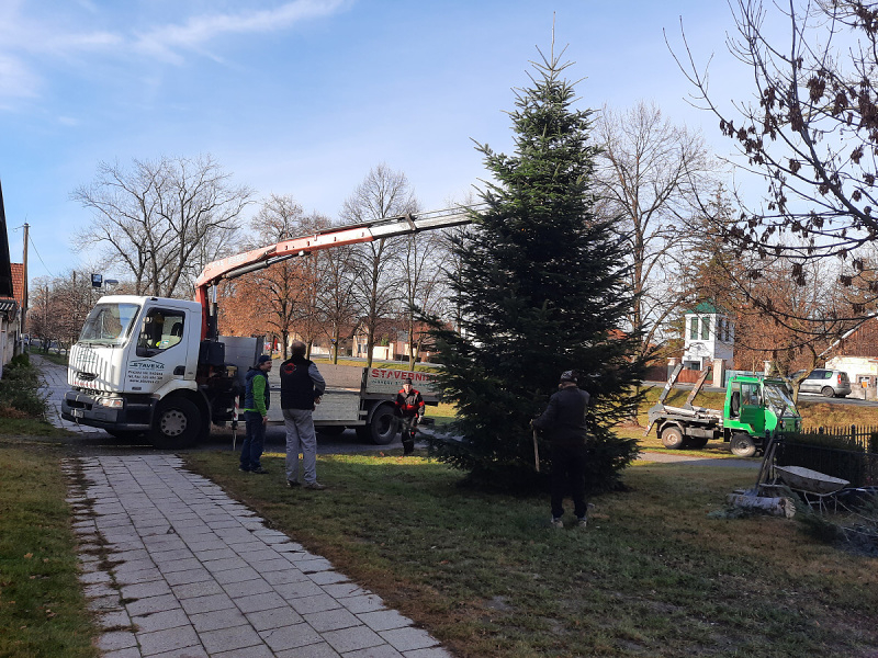 Usazení a rozsvícení vánočního stromu obce 2021