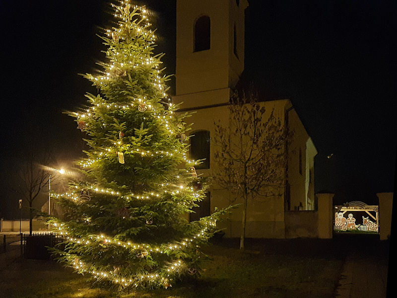 Usazení a rozsvícení vánočního stromu obce 2021