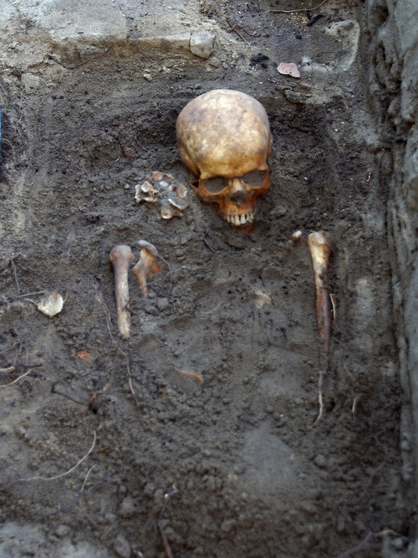 Archeologický průzkum hřbitova