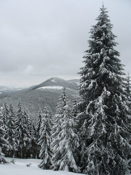 Rokytnice-Dvoračky březen 2009