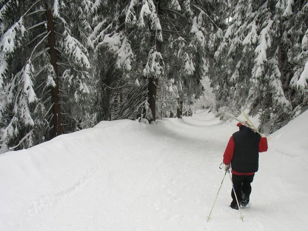 Rokytnice-Dvoračky březen 2009