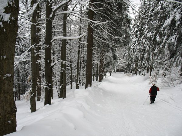 Rokytnice-Dvoračky březen 2009