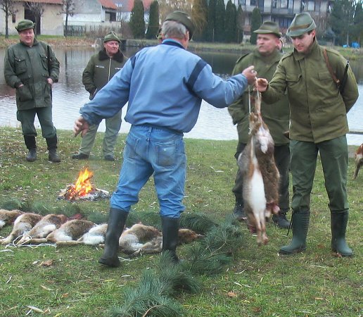 Myslivecký hon 6.12.2008