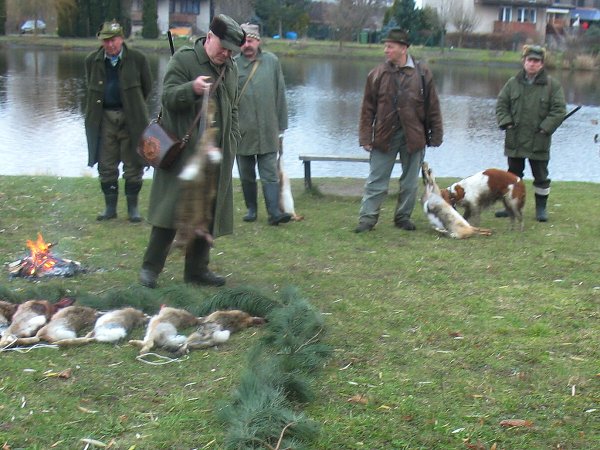 Myslivecký hon 6.12.2008