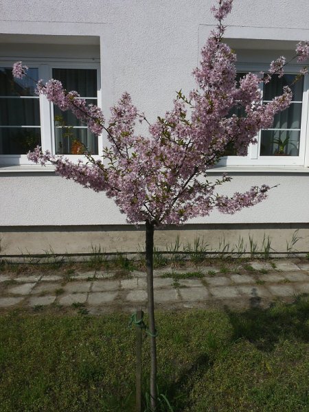 Velikonoce 13.4.2009