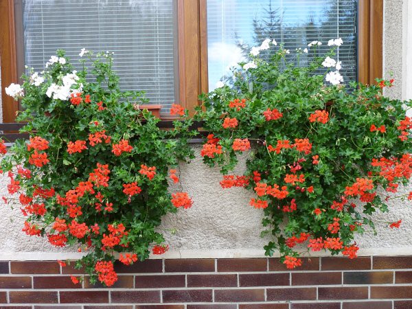 Výzdoba - soutěž 2010