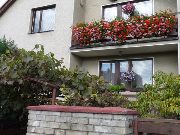 Výzdoba - soutěž 2010