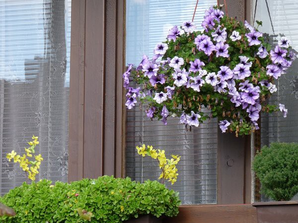 Výzdoba - soutěž 2010