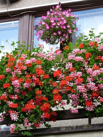 Výzdoba - soutěž 2010