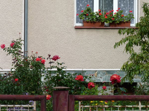 Výzdoba - soutěž 2010