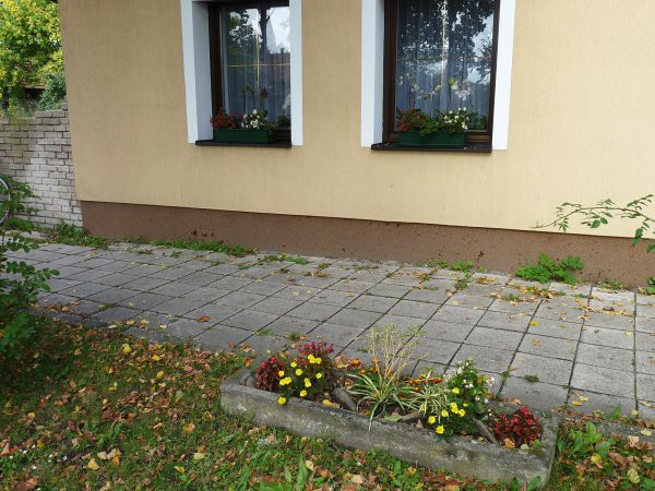 Výzdoba - soutěž 2010