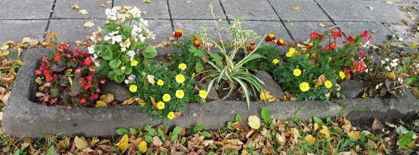 Výzdoba - soutěž 2010