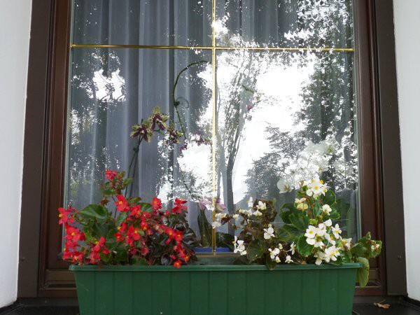 Výzdoba - soutěž 2010