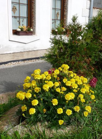 Výzdoba - soutěž 2010