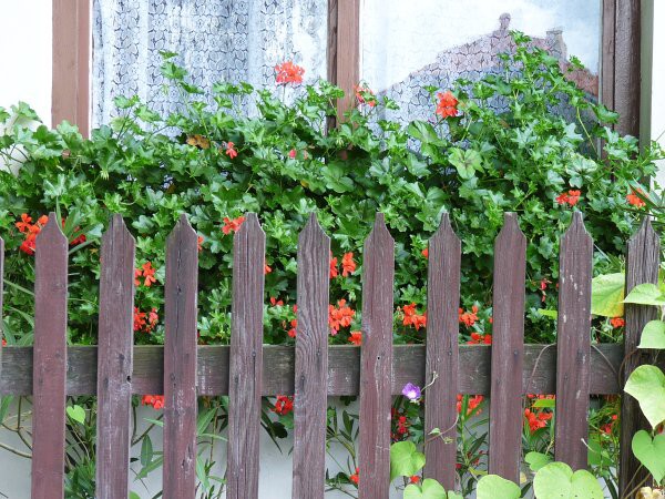 Výzdoba - soutěž 2010