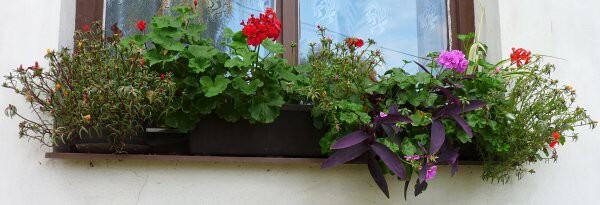 Výzdoba - soutěž 2010