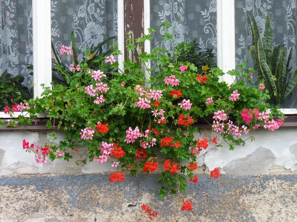 Výzdoba - soutěž 2010