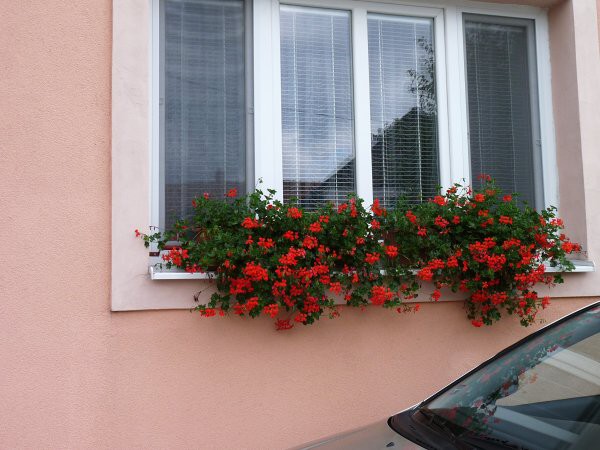 Výzdoba - soutěž 2010