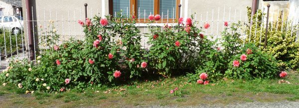 Výzdoba - soutěž 2010