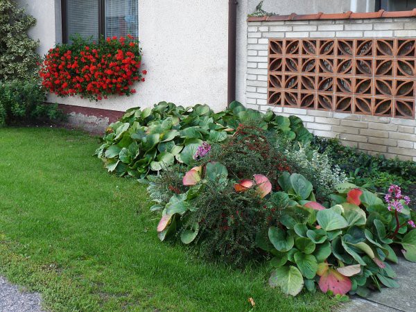 Výzdoba - soutěž 2010