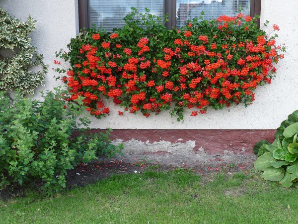 Výzdoba - soutěž 2010