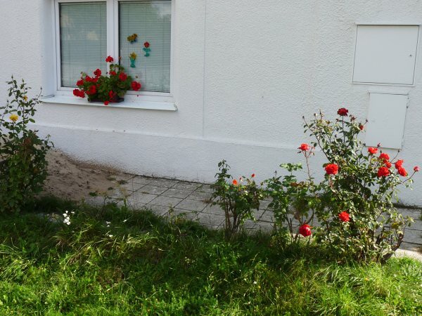 Výzdoba - soutěž 2010