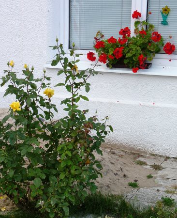 Výzdoba - soutěž 2010