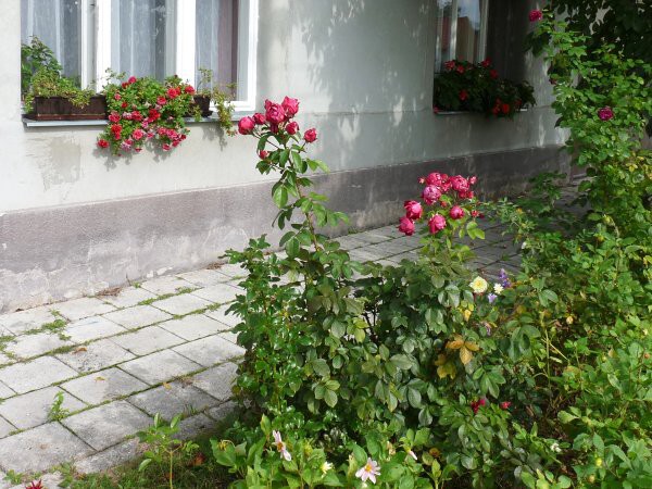 Výzdoba - soutěž 2010