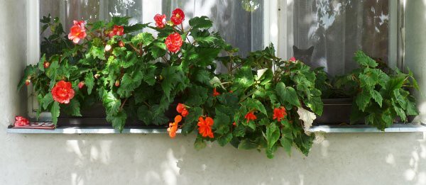 Výzdoba - soutěž 2010