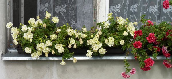 Výzdoba - soutěž 2010