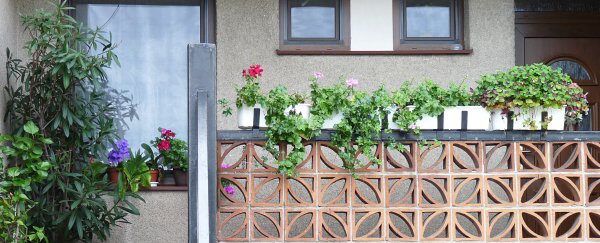 Výzdoba - soutěž 2010