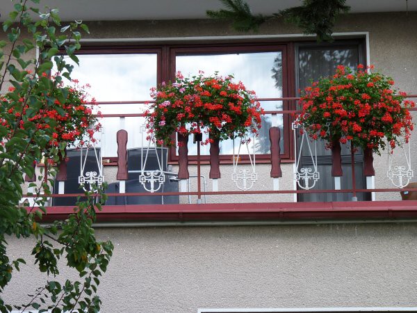 Výzdoba - soutěž 2010