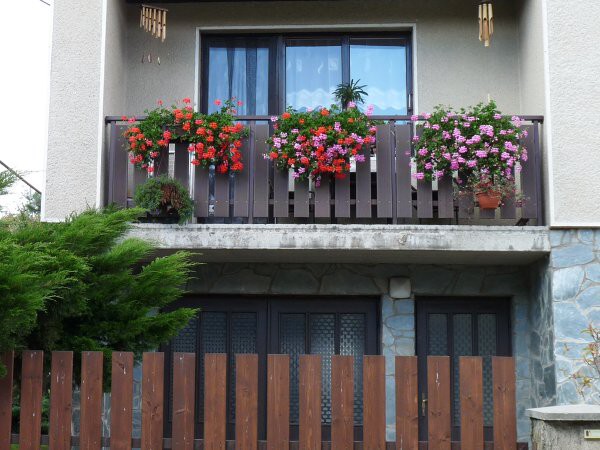 Výzdoba - soutěž 2010