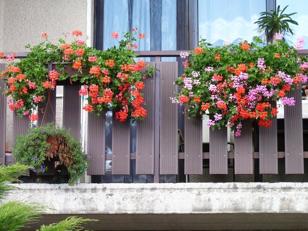 Výzdoba - soutěž 2010