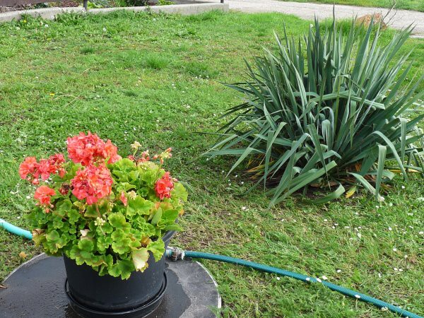 Výzdoba - soutěž 2010