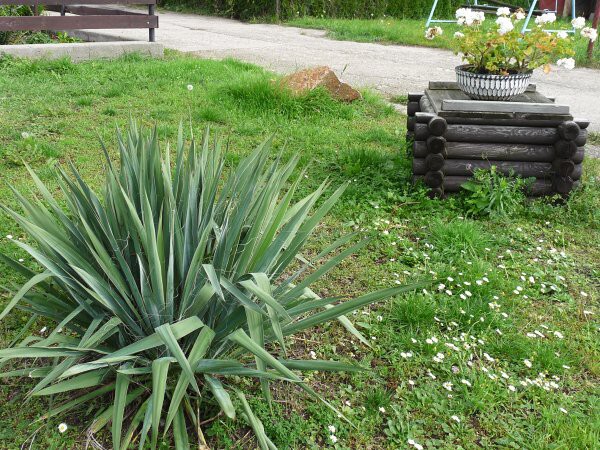 Výzdoba - soutěž 2010